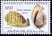 Angola 1974 Sea Shells f