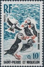 St Pierre et Miquelon 1973 Birds b