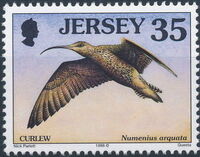 Jersey 1998 Seabirds and waders (3rd Issue) f