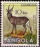 Angola 1953 Animals from Angola q