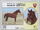 Bahrain 1997 Pure Strains of Arabian Horses from the Amiri Stud m.jpg