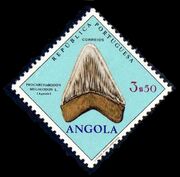 Angola 1970 Fossils and Minerals from Angola g