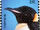 British Antarctic Territory 2006 Penguins of the Antarctic b.jpg