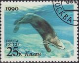 Soviet Union (USSR) 1990 Sea Mammals (Joint Issue URSS-USA) c