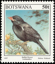 Botswana 1997 Birds h