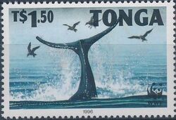 Tonga 1996 WWF Humpback Whale c