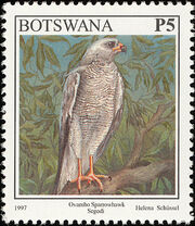 Botswana 1997 Birds q