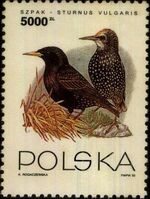 Poland 1993 Birds e