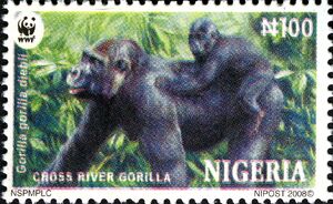 Nigeria 2008 WWF Cross River Gorilla c