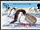 British Antarctic Territory 1998 Birds c.jpg