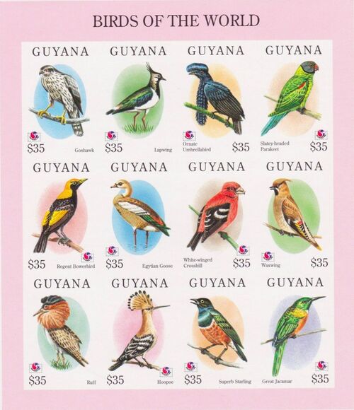 Guyana 1994 Birds of the World (PHILAKOREA '94) SSa2