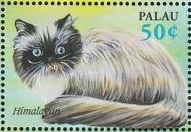 Palau 2002 Cats And Dogs JPP Stamps Wiki Fandom palau-2002-cats-and-dogs-jpp-stamps-wiki-fandom