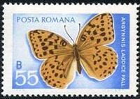 Romania 1969 Butterflies e