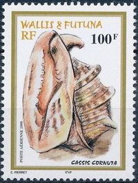 Wallis and Futuna 1999 Shells d