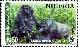Nigeria 2008 WWF Cross River Gorilla b