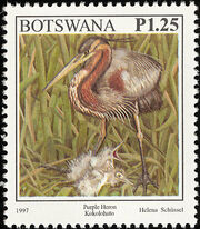 Botswana 1997 Birds m