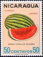 Nicaragua 1968 Fruits g