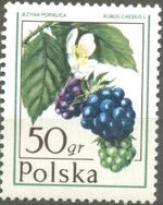 Poland 1977 Forest Fruits a