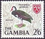 Gambia 1966 Birds j