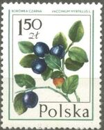 Poland 1977 Forest Fruits d