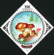 Mongolia 1985 Mushrooms e