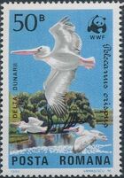 Romania 1984 WWF - Pelicans of the Danube Delta a