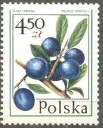 Poland 1977 Forest Fruits f