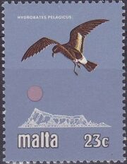 Malta 1981 Birds d