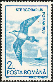 Romania 1991 Water birds d