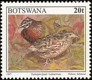 Botswana 1997 Birds d