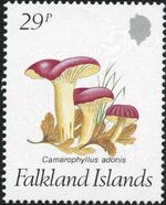 Falkland Islands 1987 Mushrooms c