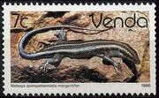 Venda 1986 Reptiles g