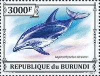 Burundi 2013 Dolphins h