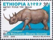 Ethiopia 2005 Black Rhinoceros f