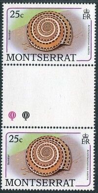Montserrat 1988 Sea Shells ge
