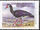 Zambia 1999 Water Birds l.jpg