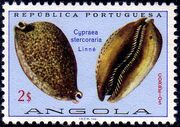 Angola 1974 Sea Shells g