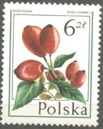 Poland 1977 Forest Fruits g