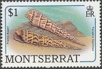 Montserrat 1988 Sea Shells j