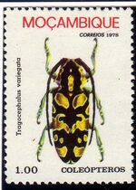 Mozambique 1978 Coleoptera from Mozambique b