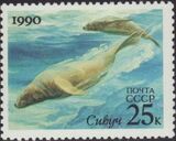 Soviet Union (USSR) 1990 Sea Mammals (Joint Issue URSS-USA) b