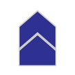 AFJROTC 2nd Lt Insignia