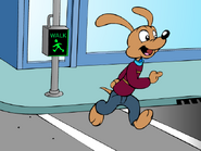 Frankie walking in a crosswalk