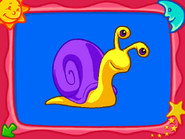 Completed Snail