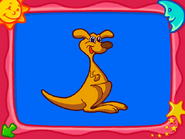 Completed Kangaroo