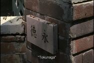 The Tokunaga plaque.