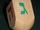 I Have a Little Dreidel