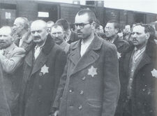 Classic Auschwitz photographs