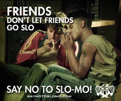 Ad no to slo.jpg (78 KB) Ad no to slo