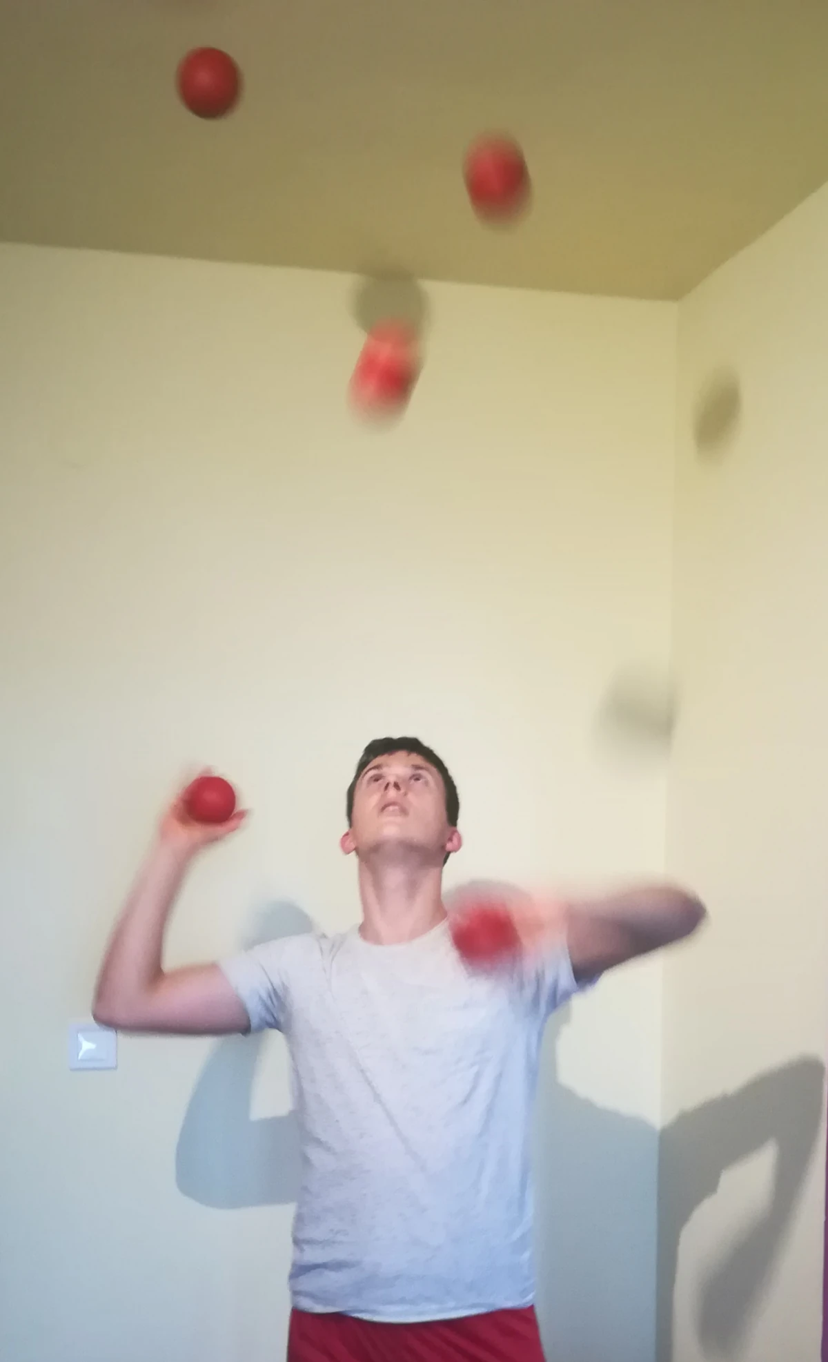 Bence Ónodi Juggle Wiki Fandom